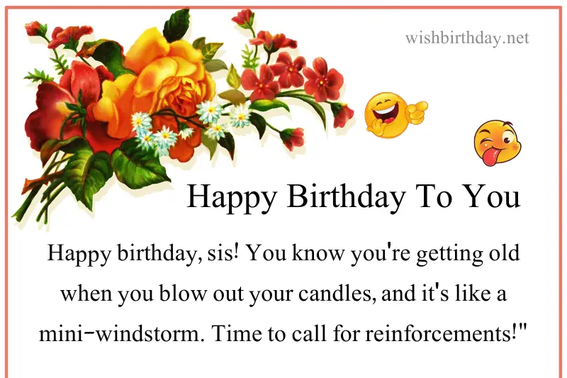 funny birthday wish for sister in english