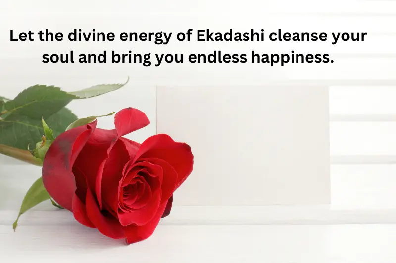 Let the divine energy of Ekadashi cleanse your soul and bring you endless happiness.