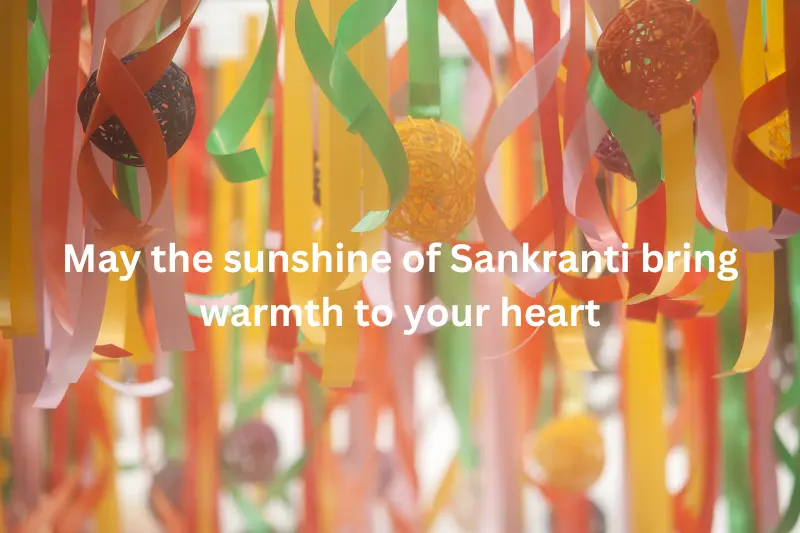 May the sunshine of Sankranti bring warmth to your heart