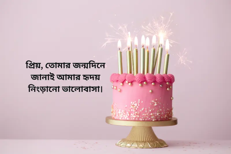 প্রিয়, তোমার জন্মদিনে জানাই আমার হৃদয় নিংড়ানো ভালোবাসা।